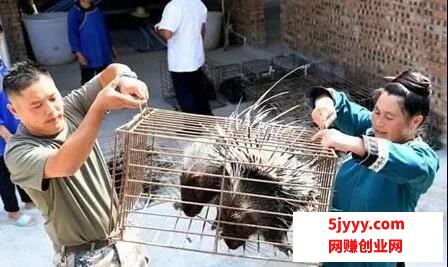 微信图片_20200624103202.jpg