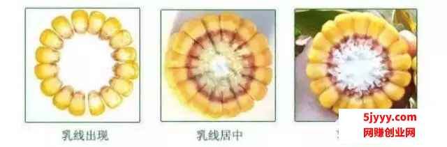微信图片_20200908152202.png