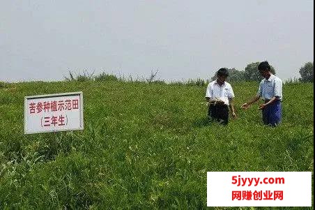 微信图片_20200908152329.jpg