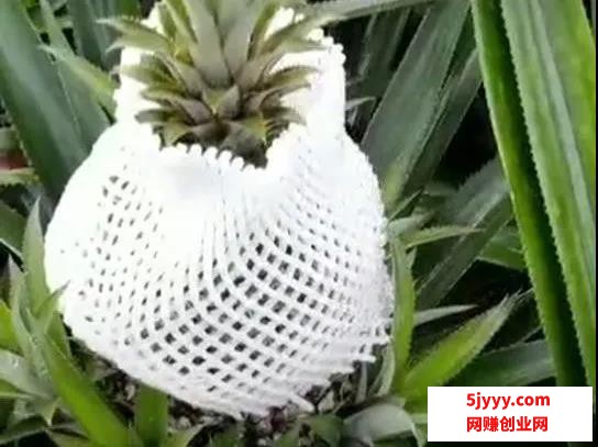 微信图片_20200927204939.jpg