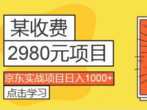 某收费2980项目：京东实战项目日入1000+