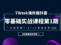 Tiktok海外版抖音零基础实战课程第1期，全面掌握TikTok基础...