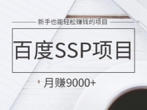 百度SSP项目熟练操作月赚9k+